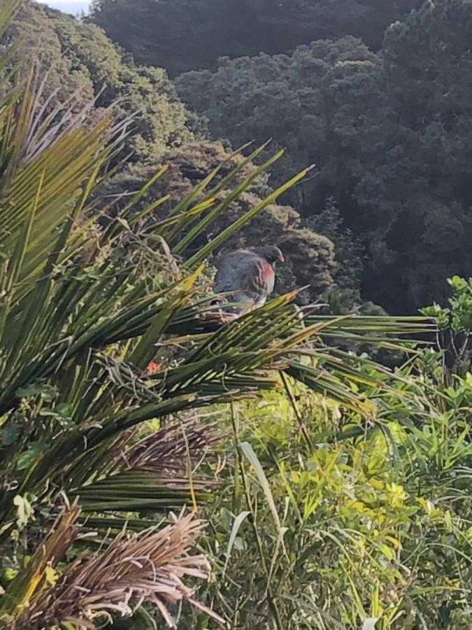 Muriwai Lodge 外观 照片